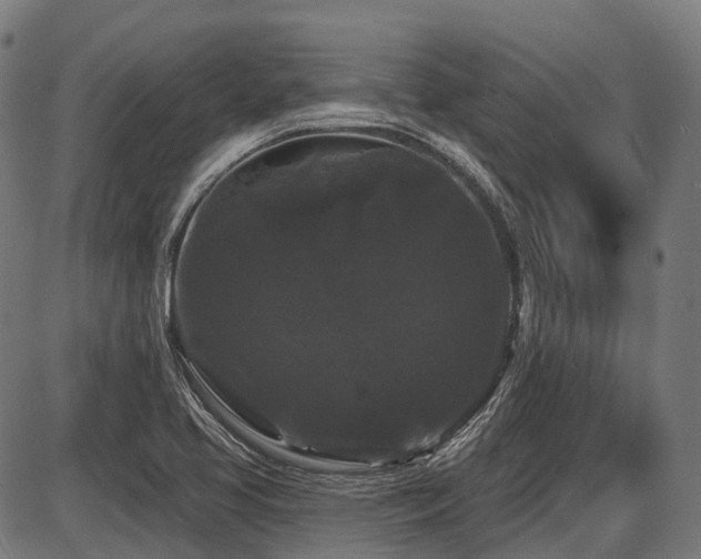 X0000087531413200704271155