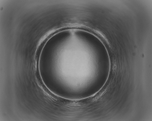 X0000087531414200704271155