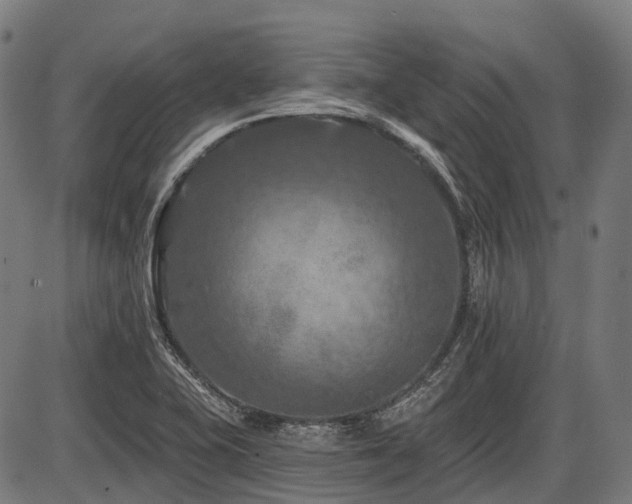 X0000087531415200704271155