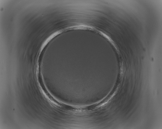 X0000087531418200704271155