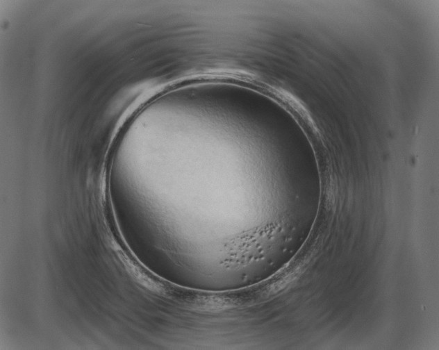 X0000087531420200704271155