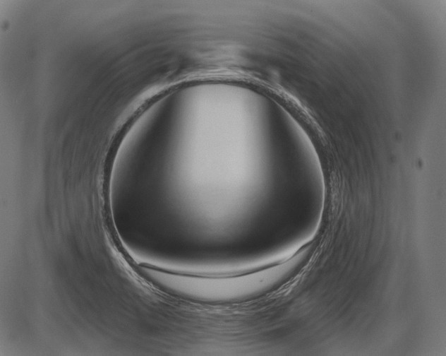 X0000087531422200704271155