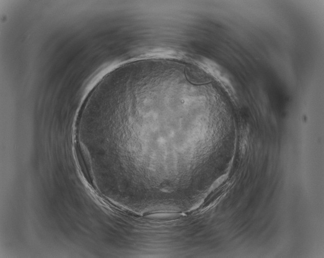 X0000087531423200704271155