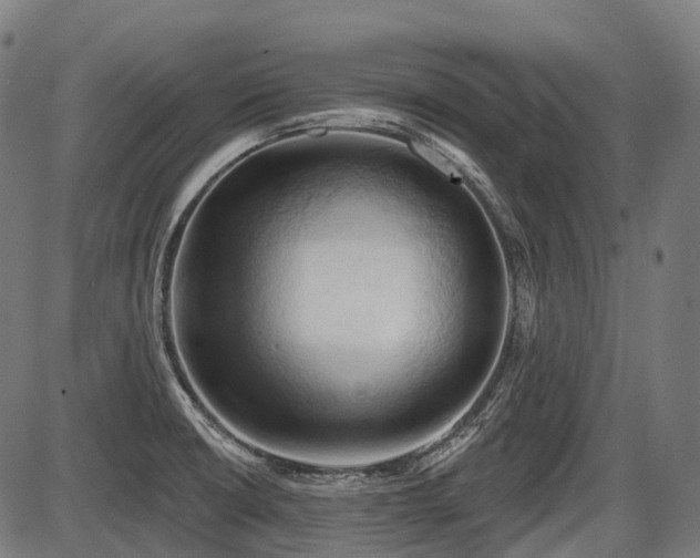 X0000087531426200704271156