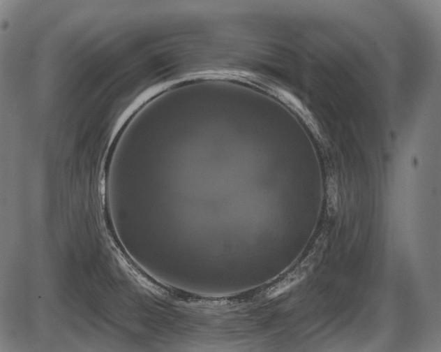 X0000087531428200704271156