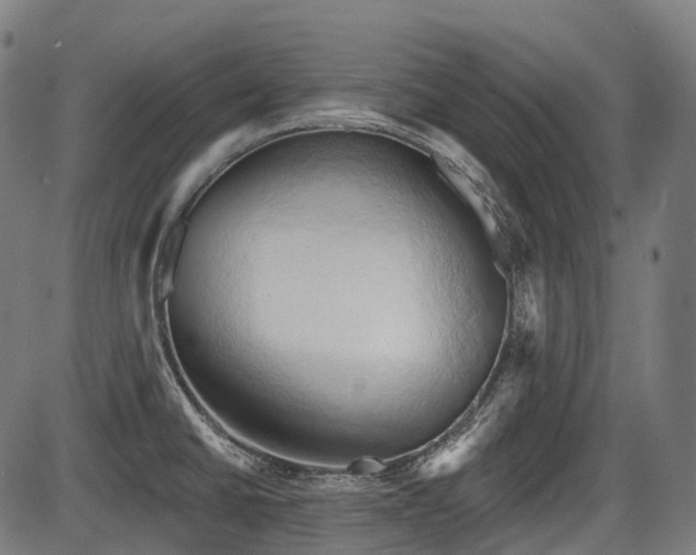 X0000087531430200704271156