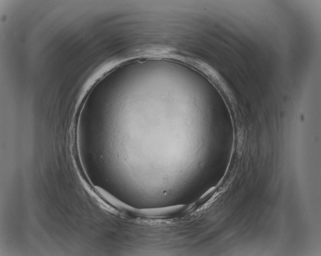 X0000087531432200704271156