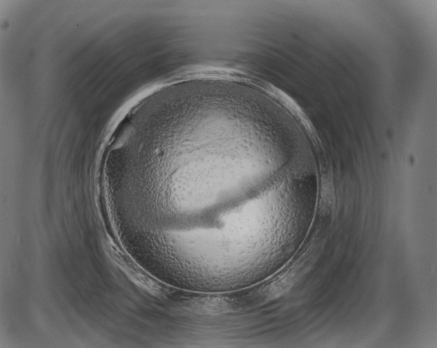 X0000087531435200704271156