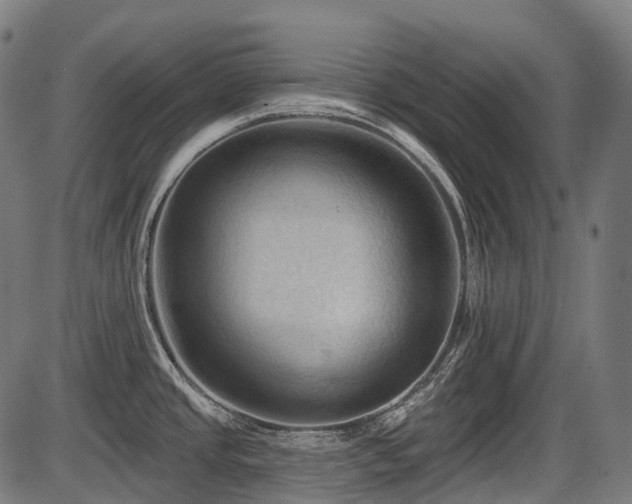 X0000087531437200704271156