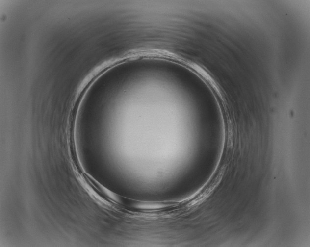 X0000087531438200704271156