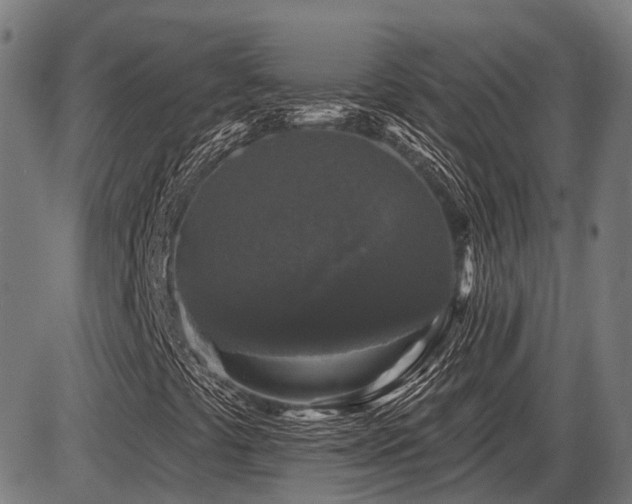 X0000087531441200704271155