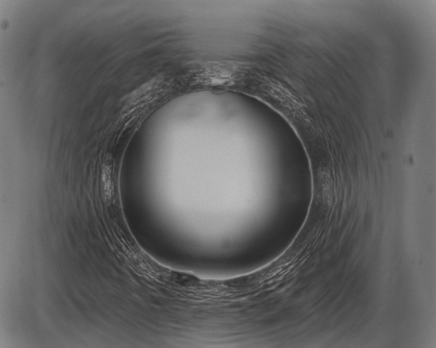 X0000087531442200704271155