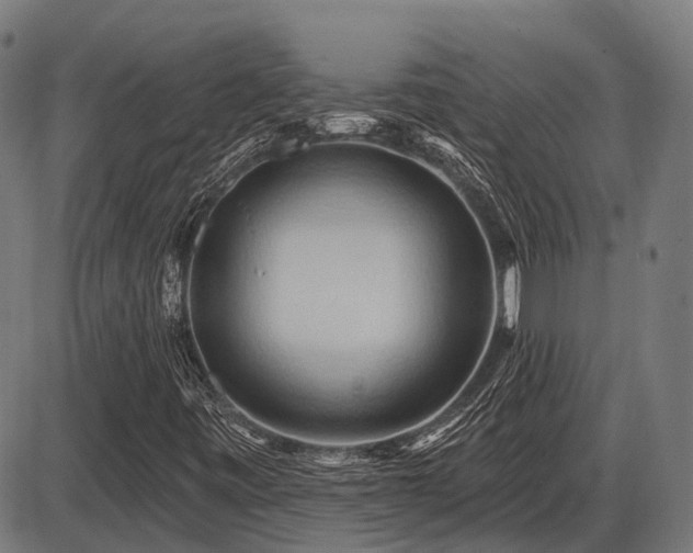 X0000087531443200704271155