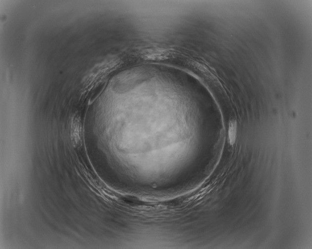 X0000087531444200704271155