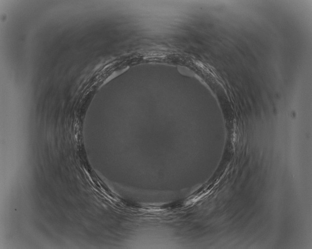 X0000087531445200704271155