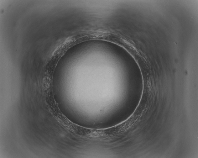 X0000087531447200704271155