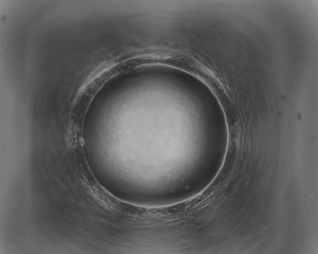 X0000087531448200704271155