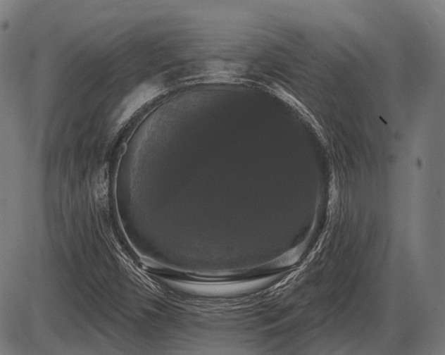 X0000087531450200704271155