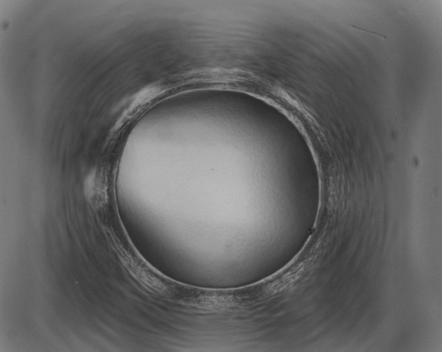 X0000087531451200704271155