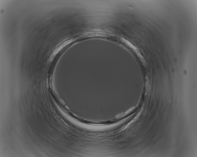 X0000087531453200704271155