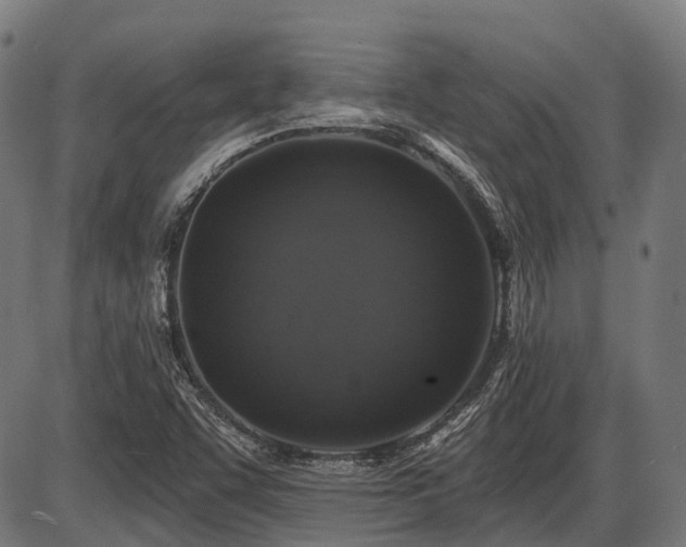 X0000087531455200704271155