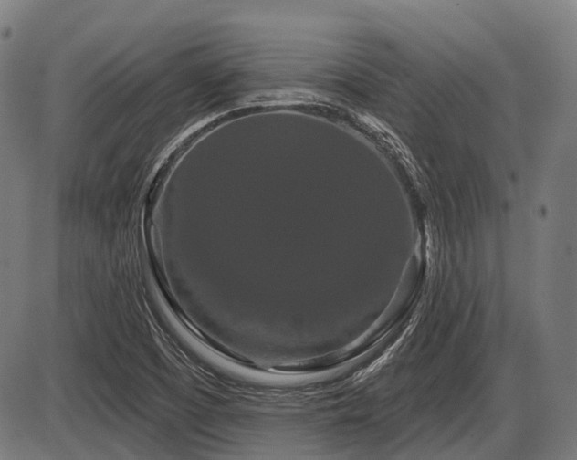 X0000087531457200704271155
