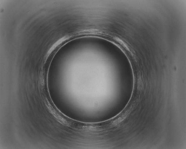 X0000087531458200704271155