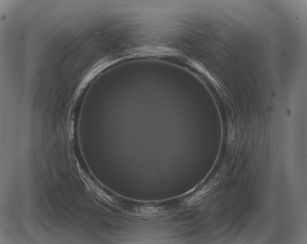 X0000087531459200704271155