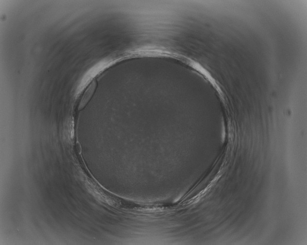X0000087531461200704271155