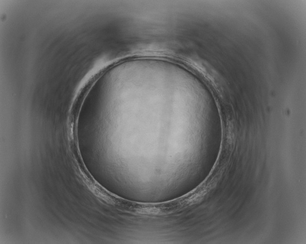 X0000087531462200704271155