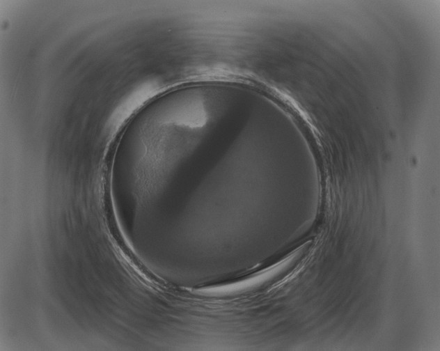 X0000087531463200704271155