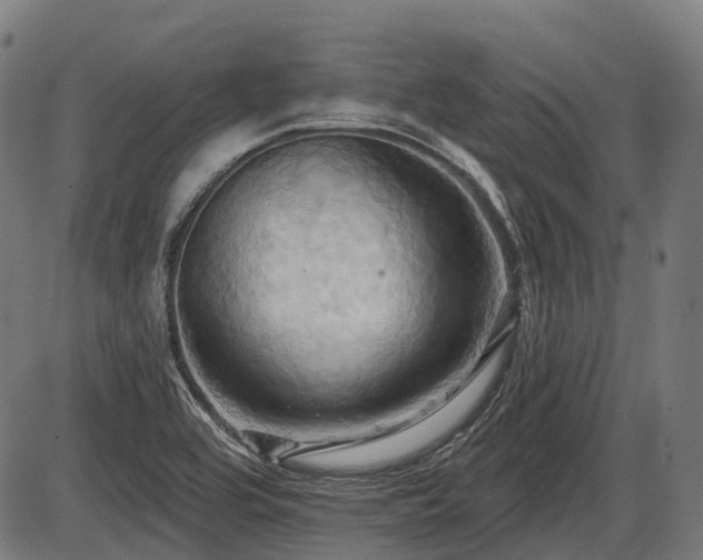 X0000087531464200704271155