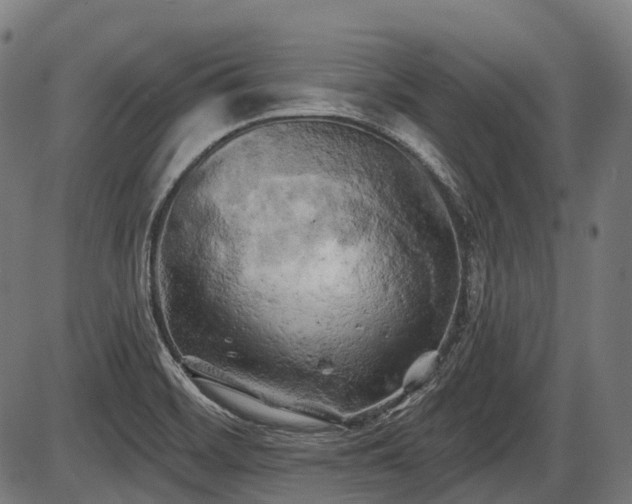 X0000087531468200704271155