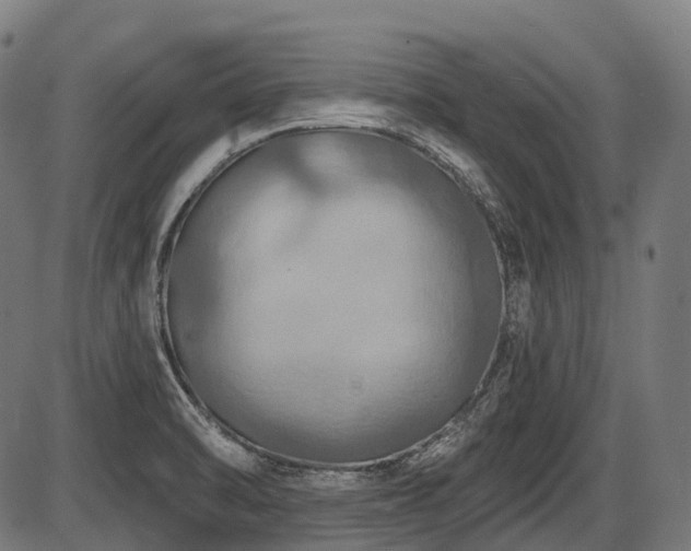X0000087531470200704271155