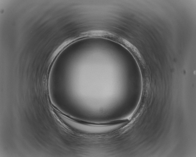X0000087531473200704271154