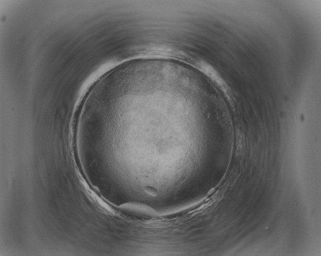 X0000087531480200704271154