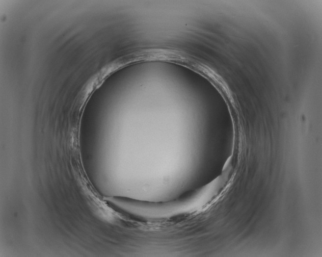 X0000087531481200704271154