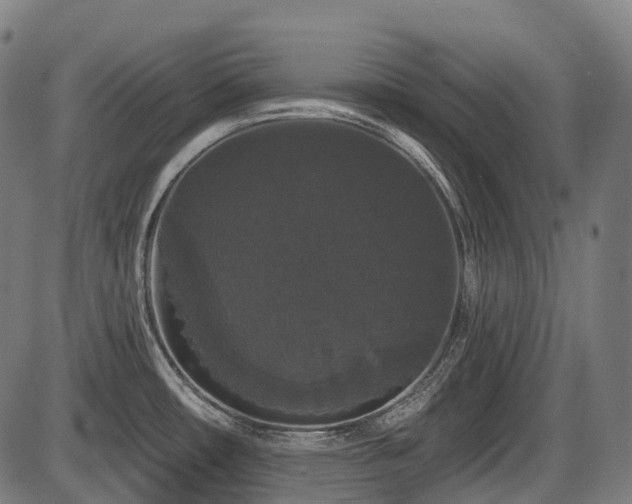 X0000087531482200704271154