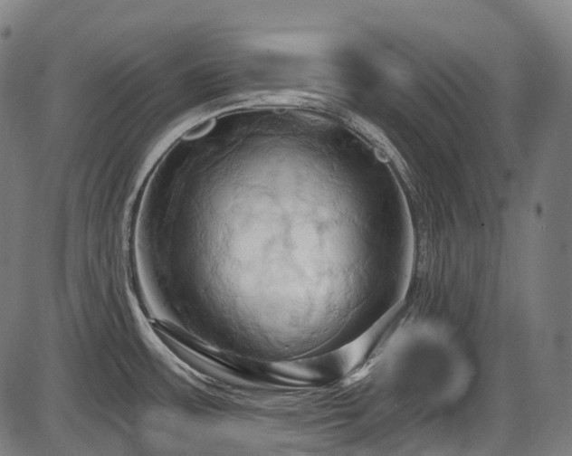 X0000087531483200704271154