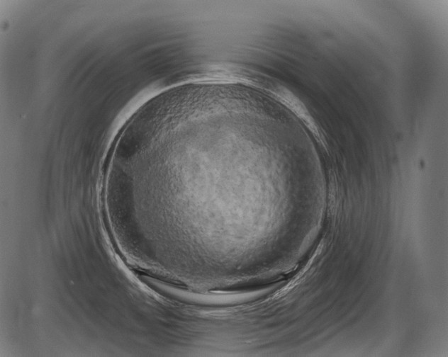 X0000087531484200704271154