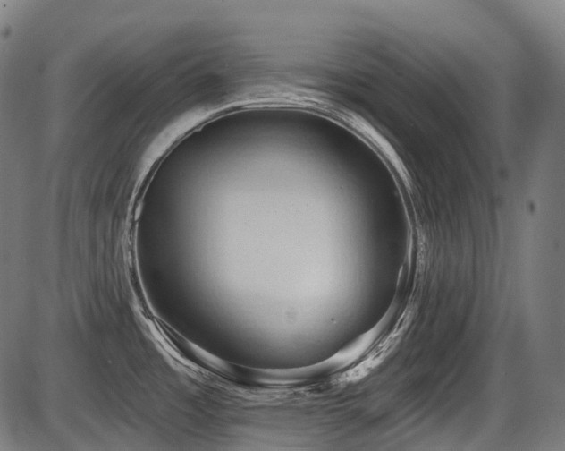 X0000087531485200704271154