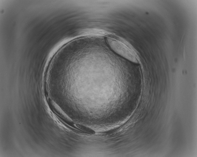 X0000087531488200704271154