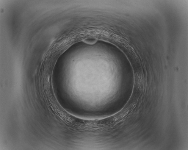 X0000087531489200704271153