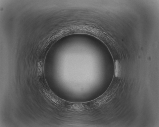 X0000087531491200704271153