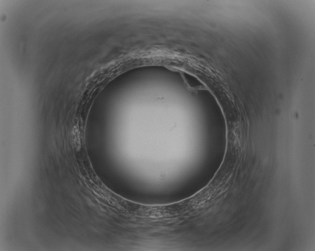 X0000087531493200704271154