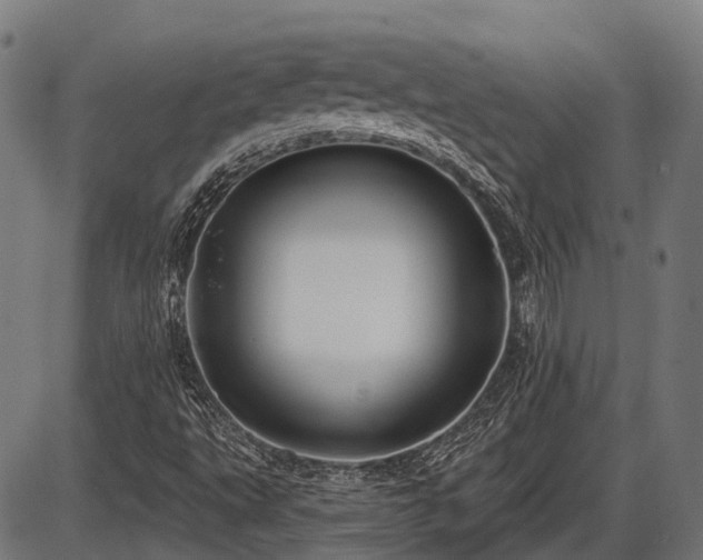 X0000087531495200704271154