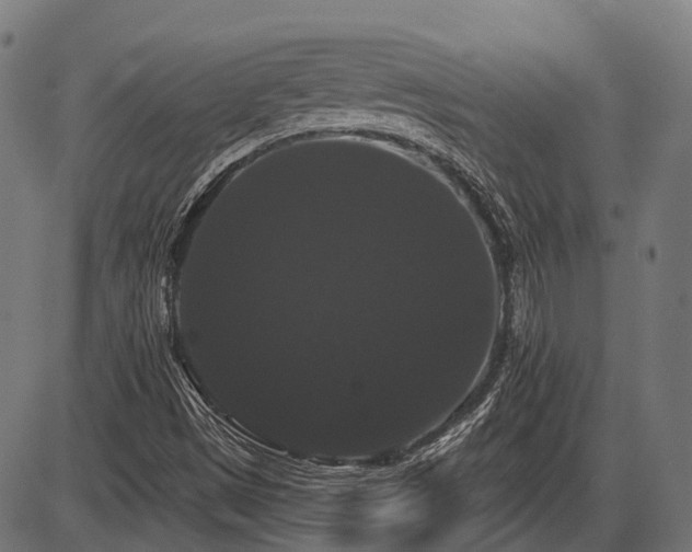 X0000087531497200704271154