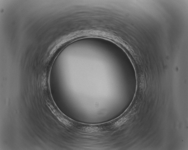 X0000087531499200704271154