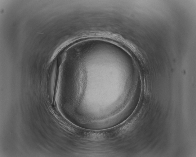 X0000087531501200704271154