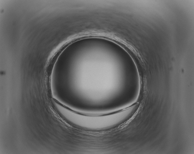 X0000087531502200704271154